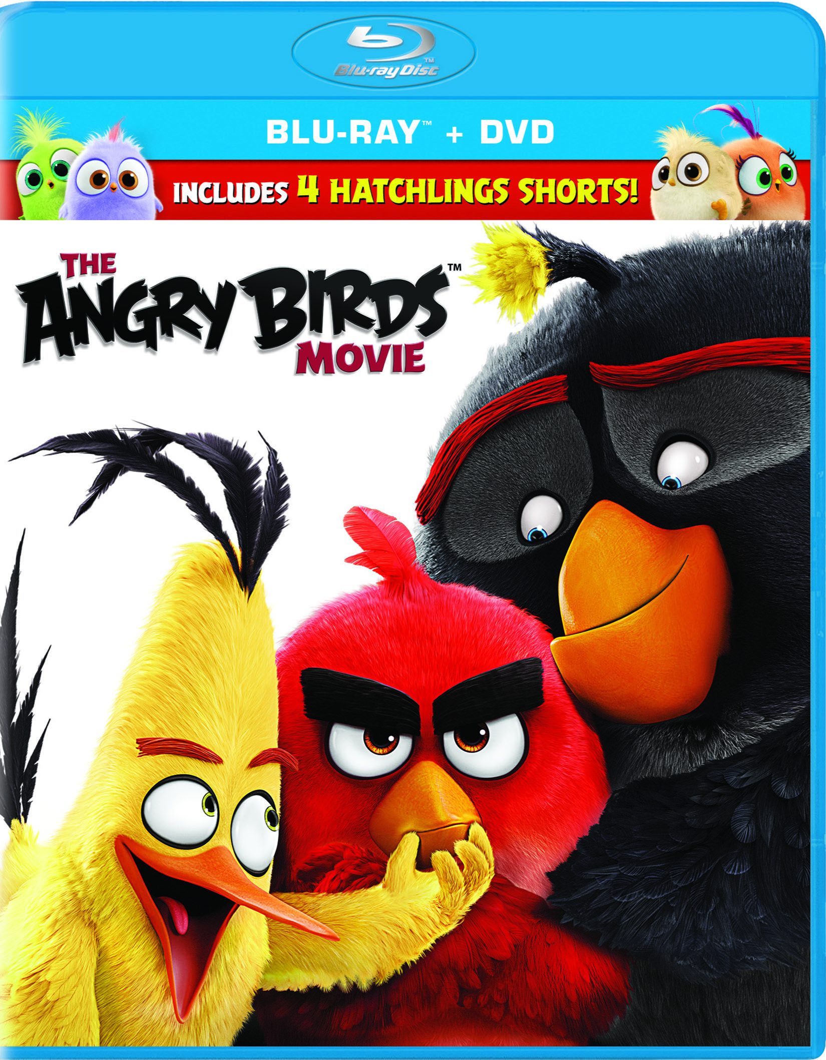 angry birds movie download hd